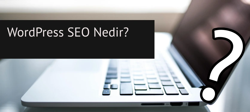 wordpress seo nedir